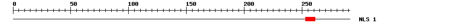 NLS