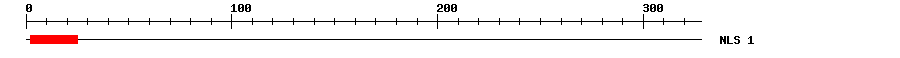 NLS