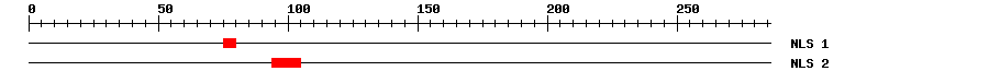 NLS