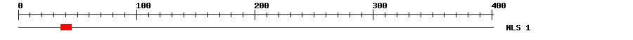 NLS