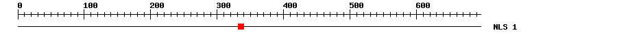 NLS
