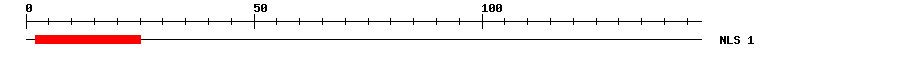 NLS
