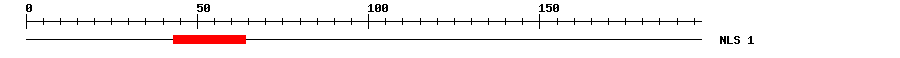 NLS