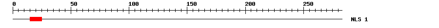 NLS