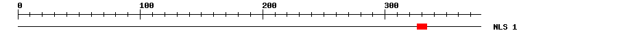 NLS