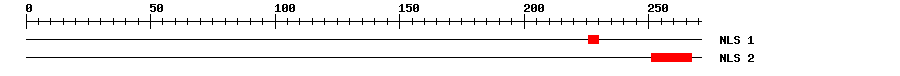 NLS