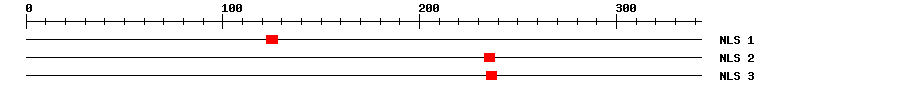 NLS