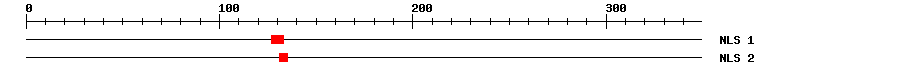 NLS