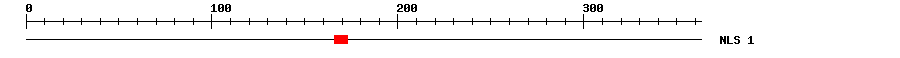 NLS
