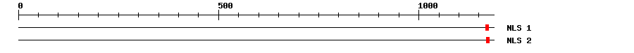 NLS