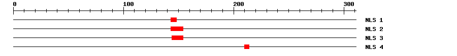NLS