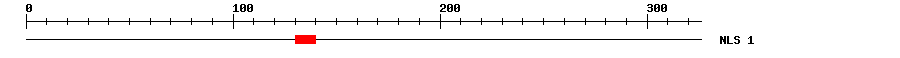 NLS