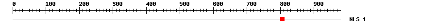 NLS