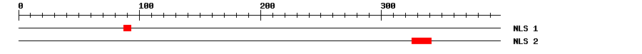 NLS