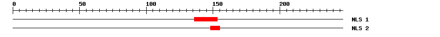 NLS