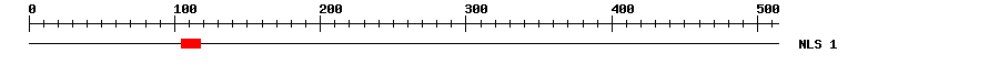 NLS