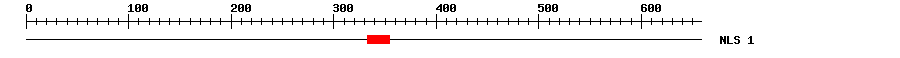 NLS