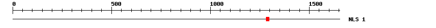 NLS