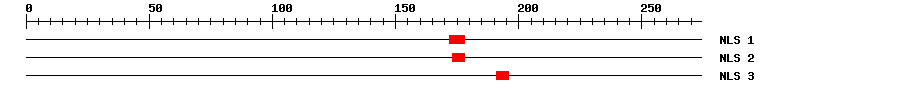 NLS