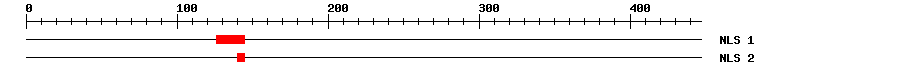 NLS