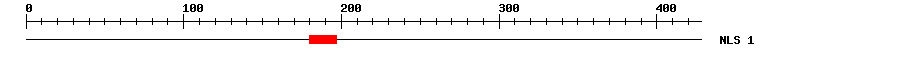 NLS
