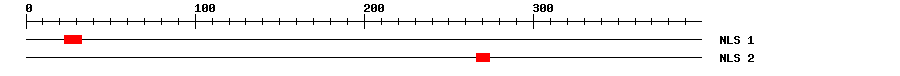 NLS