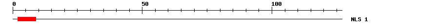 NLS