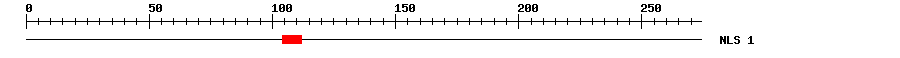 NLS