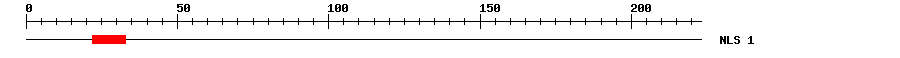 NLS