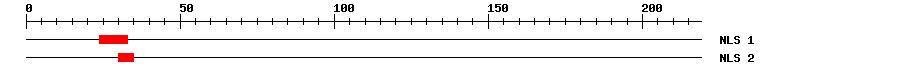 NLS