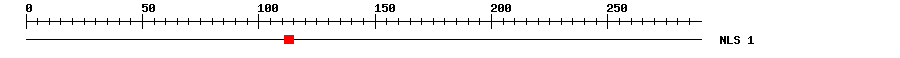 NLS
