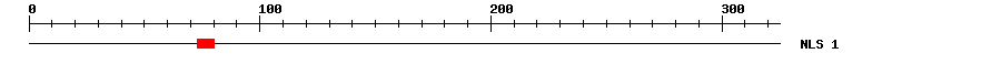 NLS