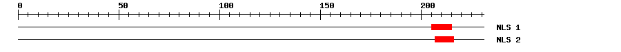 NLS