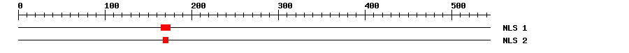 NLS