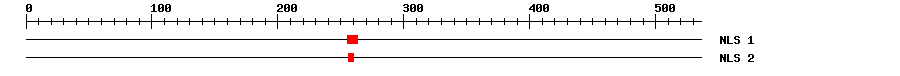 NLS