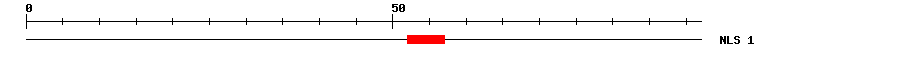 NLS