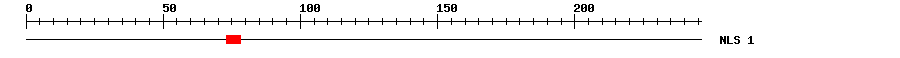 NLS