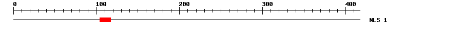 NLS