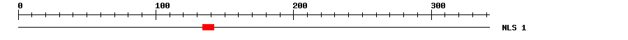 NLS