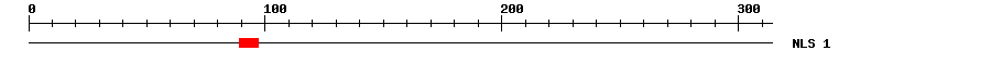 NLS