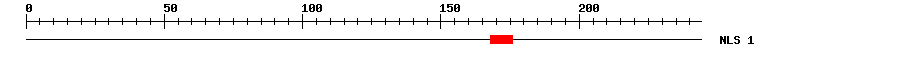 NLS