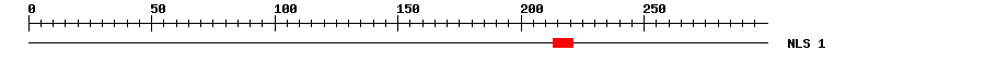 NLS