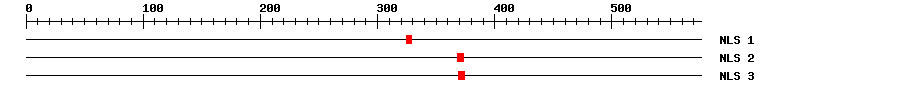 NLS