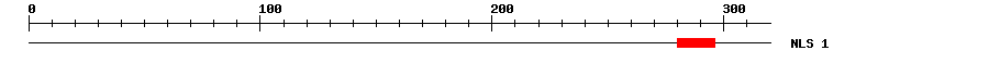 NLS