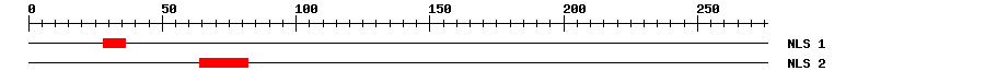 NLS