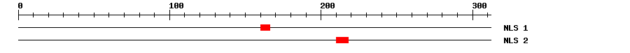 NLS