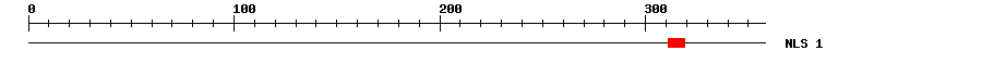 NLS