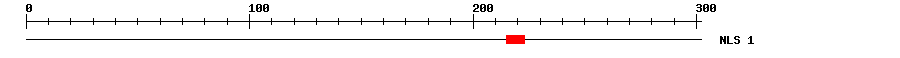NLS
