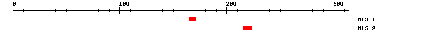 NLS