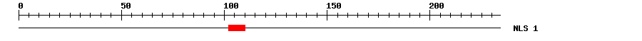 NLS